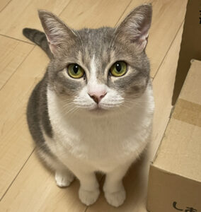 副所長 こうちゃん